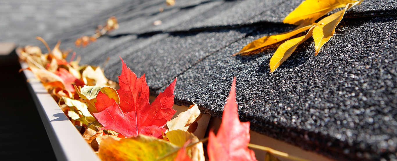 Clogged gutters?<br /> Leave them to us.